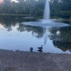 Meet your Posher, Sausan